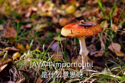 JAVA中importioutil是什么意思呀