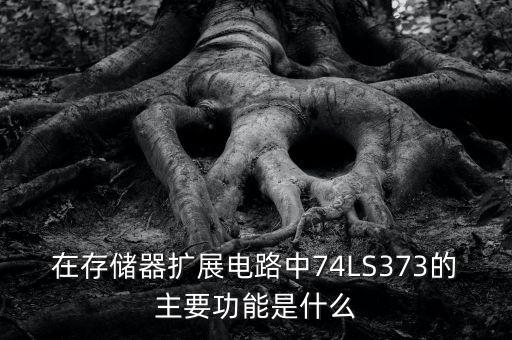 74ls373，在存儲器擴展電路中74LS373的主要功能是什么
