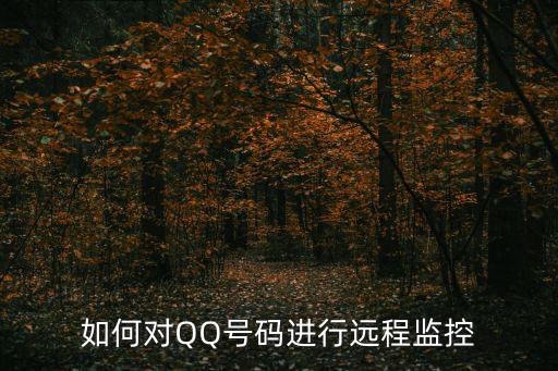 如何對QQ號碼進行遠程監(jiān)控