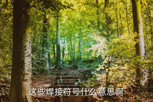 這些焊接符號(hào)什么意思啊
