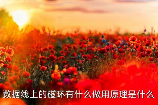 磁環(huán)，磁環(huán)用來(lái)干什么的