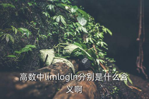 高數(shù)中l(wèi)imlogln分別是什么含義啊