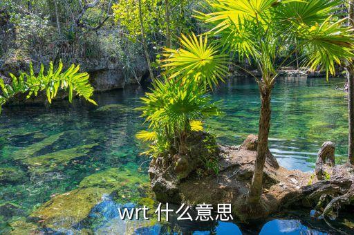 wrt 什么意思