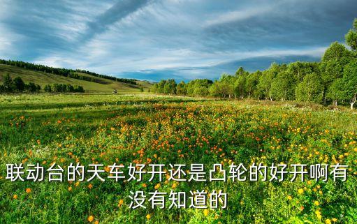 聯(lián)動臺的天車好開還是凸輪的好開啊有沒有知道的