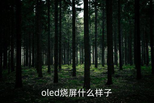 oled燒屏什么樣子