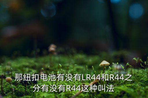 那紐扣電池有沒有LR44和R44之分有沒有R44這種叫法