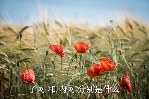 子網(wǎng) 和 內(nèi)網(wǎng) 分別是什么