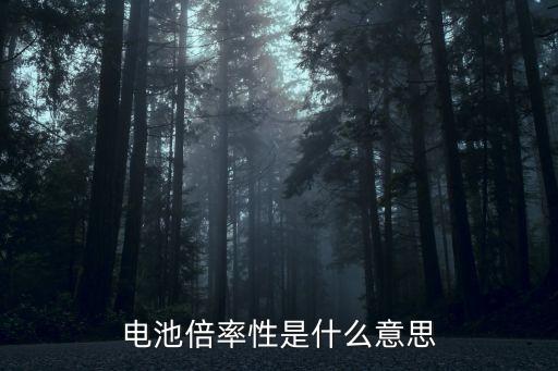 電池倍率性是什么意思