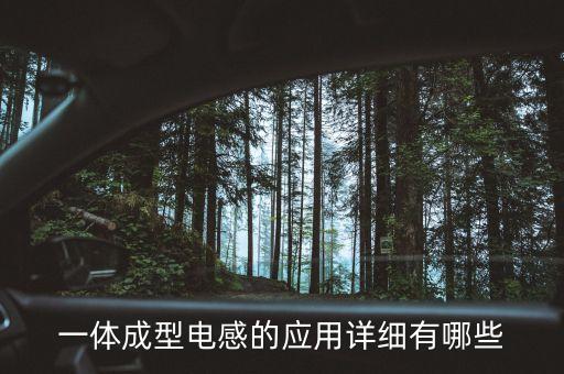 一體成型電感，一體成型電感的應用詳細有哪些