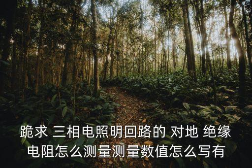 跪求 三相電照明回路的 對地 絕緣電阻怎么測量測量數(shù)值怎么寫有