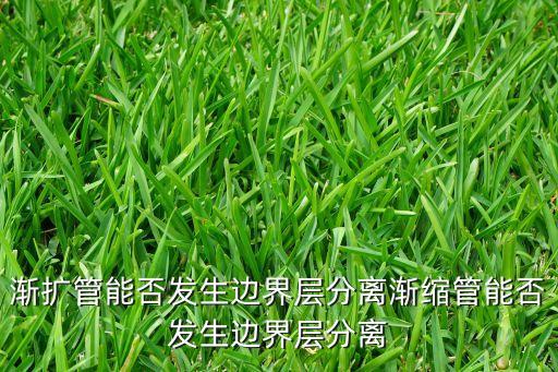 漸擴(kuò)管能否發(fā)生邊界層分離漸縮管能否發(fā)生邊界層分離
