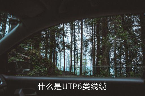 什么是UTP6類線纜