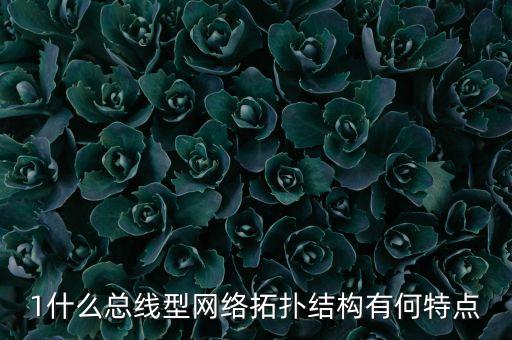 1什么總線(xiàn)型網(wǎng)絡(luò)拓?fù)浣Y(jié)構(gòu)有何特點(diǎn)
