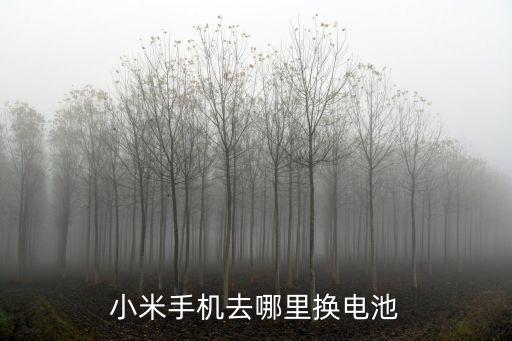 小米手機(jī)去哪里換電池