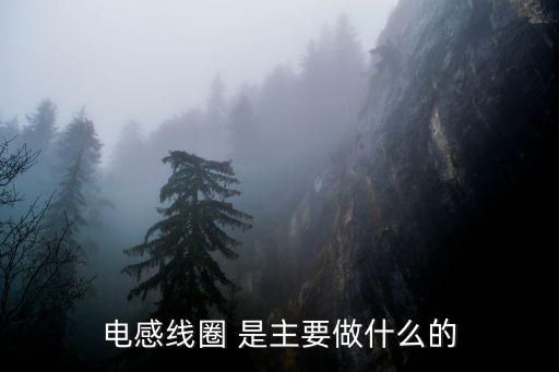 電感線圈 是主要做什么的