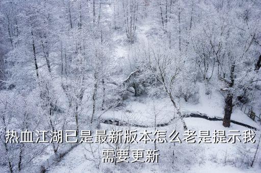 熱血江湖已是最新版本怎么老是提示我需要更新
