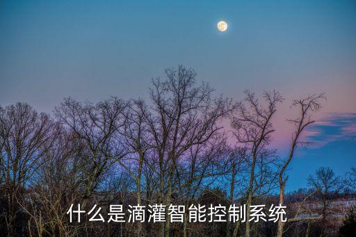 什么是滴灌智能控制系統(tǒng)