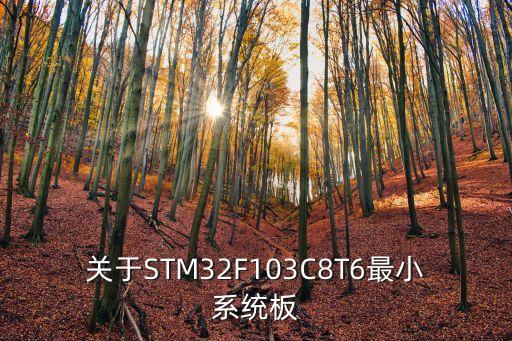 關(guān)于STM32F103C8T6最小系統(tǒng)板