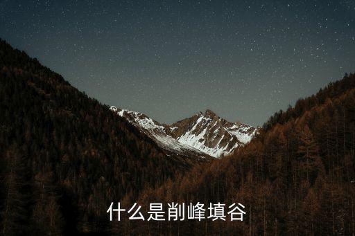 削峰，削峰填谷的介紹
