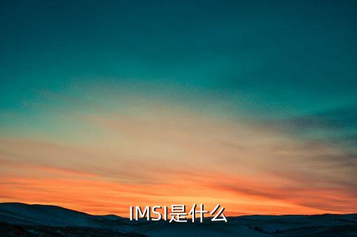 IMSI是什么