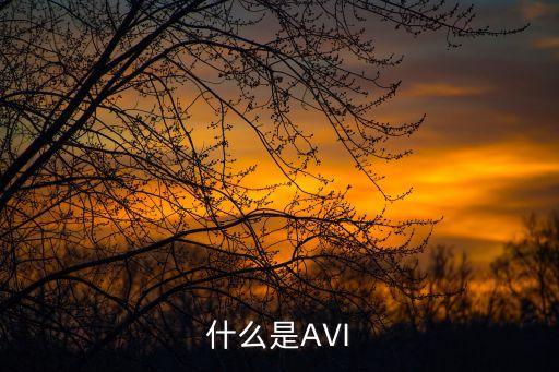avi，AVI是什么