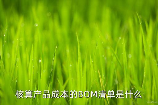 核算產(chǎn)品成本的BOM清單是什么