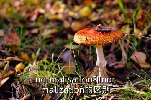 normalisation和normalization的區(qū)別
