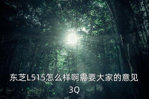 l515，L515這款顯卡大家覺(jué)得怎樣