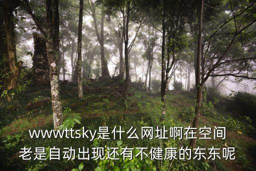 wwwttsky是什么網(wǎng)址啊在空間老是自動(dòng)出現(xiàn)還有不健康的東東呢