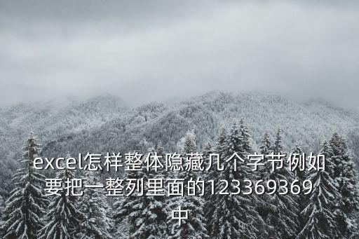 excel怎樣整體隱藏幾個(gè)字節(jié)例如要把一整列里面的123369369中