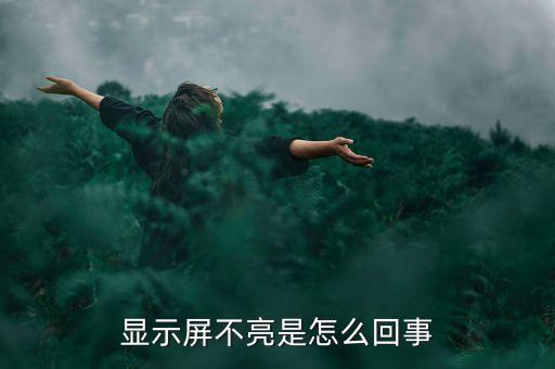 顯示屏不亮是怎么回事