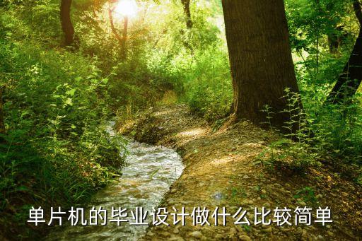 單片機(jī)的畢業(yè)設(shè)計(jì)做什么比較簡單