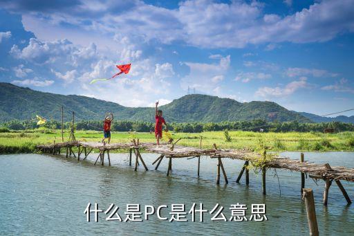什么是PC是什么意思