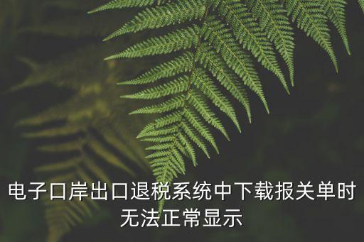 電子口岸出口退稅系統(tǒng)中下載報(bào)關(guān)單時(shí)無(wú)法正常顯示