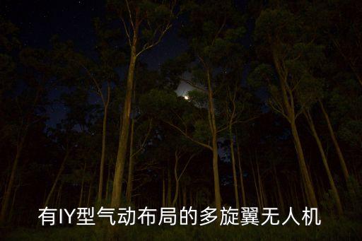 有IY型氣動布局的多旋翼無人機(jī)