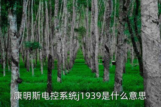 j1939，康明斯電控系統(tǒng)j1939是什么意思