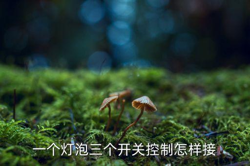 一燈三控怎么接線，1個(gè)燈3個(gè)開(kāi)關(guān)控制怎么接線 第1個(gè)開(kāi)關(guān)進(jìn)火線2跟來(lái)回線到中間
