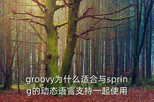 groovy語(yǔ)言，摩洛哥說(shuō)什么語(yǔ)言