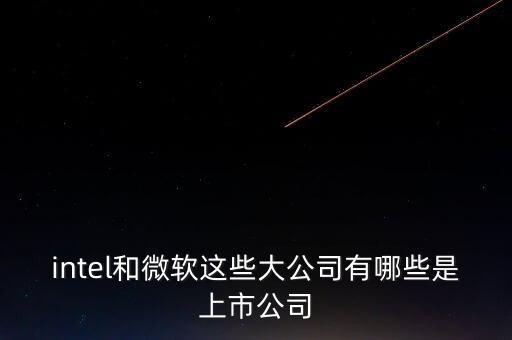 intel和微軟這些大公司有哪些是上市公司