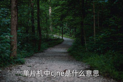 單片機(jī)中cjne是什么意思