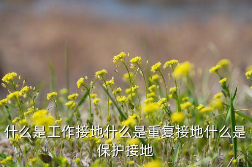 工作接地，什么是工作接地