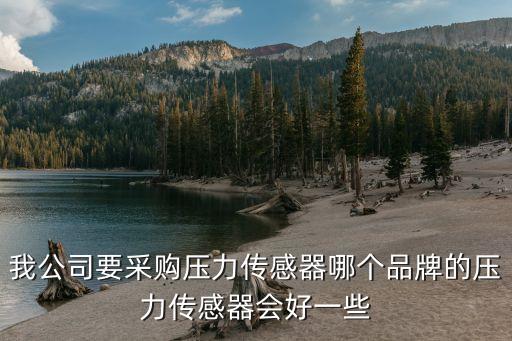 我公司要采購壓力傳感器哪個品牌的壓力傳感器會好一些