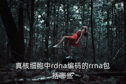 真核細(xì)胞中rdna編碼的rrna包括哪些