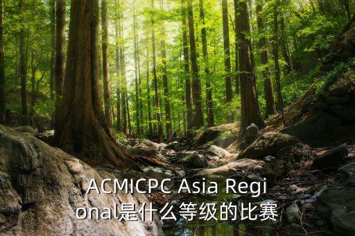 acm競賽，請問acm大賽得幾個人參賽參賽標(biāo)準(zhǔn)是什么樣的個人可以報(bào)名嗎