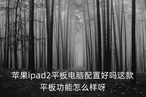 蘋(píng)果ipad2平板電腦配置好嗎這款平板功能怎么樣呀