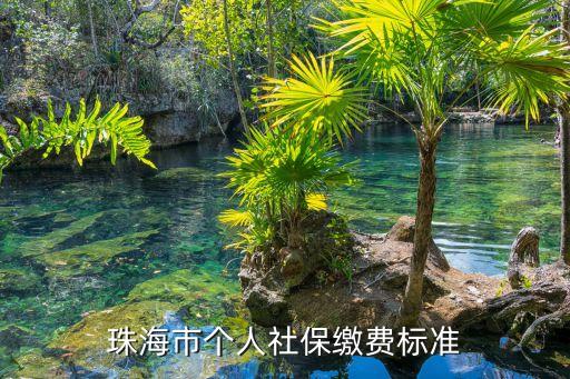 珠海本地寶，珠海社保個人查詢網(wǎng)的網(wǎng)址是
