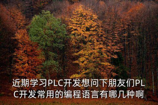 近期學習PLC開發(fā)想問下朋友們PLC開發(fā)常用的編程語言有哪幾種啊