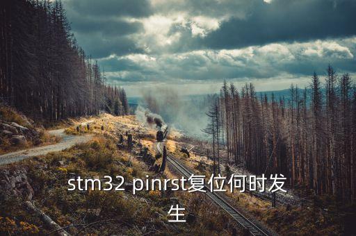 stm32 pinrst復(fù)位何時(shí)發(fā)生