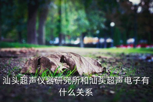 超聲電子，請問高手000823超聲電子怎么樣可否加倉