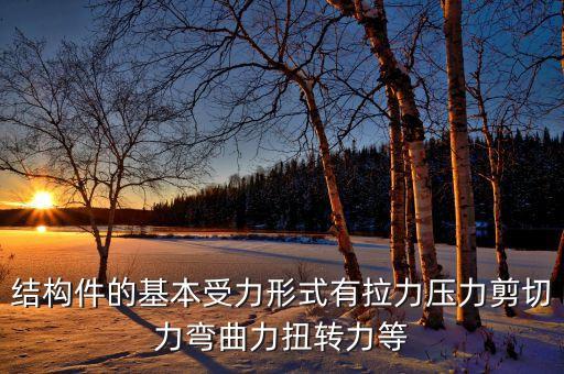 結(jié)構(gòu)件的基本受力形式有拉力壓力剪切力彎曲力扭轉(zhuǎn)力等